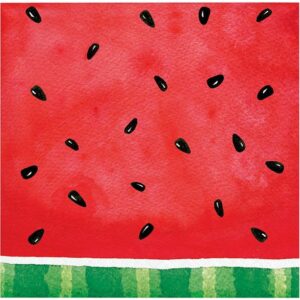 Watermellon Checkered Beverage Napkins 16CT