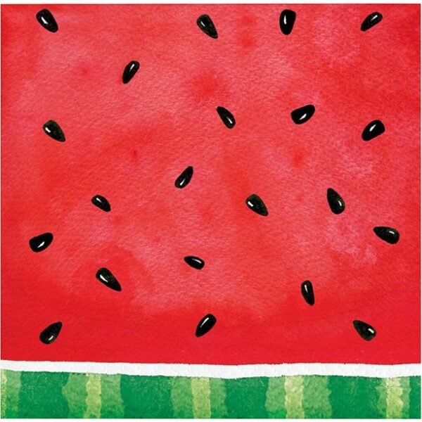Watermellon Checkered Beverage Napkins 16CT