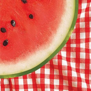 Watermellon Checkered Lunch Napkins 16CT