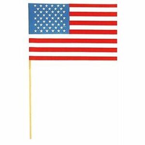 American Flag 9"x15" Cloth