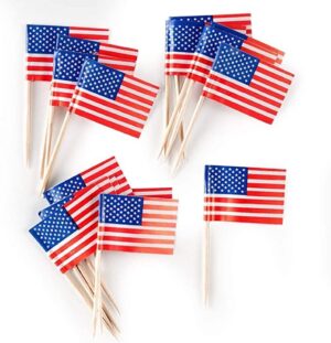 Patriotic Flag Pick 2 1/2"