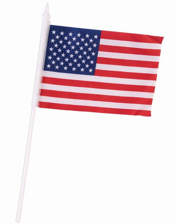 Plastic US Flag Stick 4"x6"