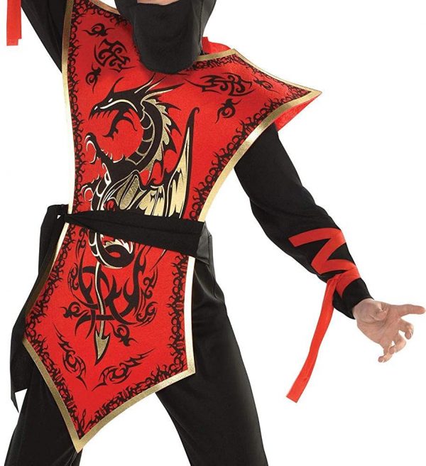 Ninja Assassin Tween Costume