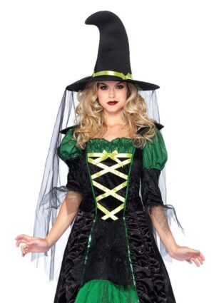 Storybook Witch Adult Costume