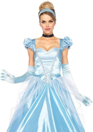 Cinderella Long Adult Costume