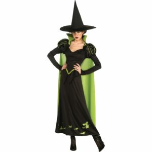Wicked Witch Adult Costume