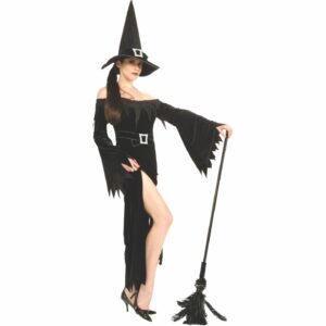 Wicked Witch Sexy Adult Costume