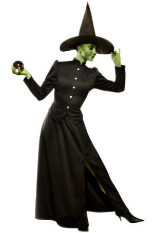 Classic Witch Adult Costume
