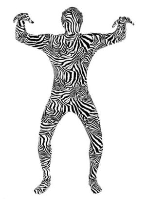 Zebra Morphsuit Adult Costume