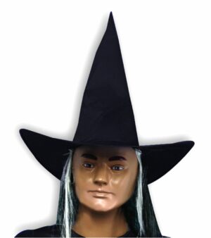 Witch Hat With Hair