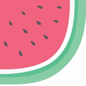 Just Chillin Watermelon Lunch Napkins 16CT