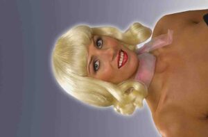 60's Flip Wig
