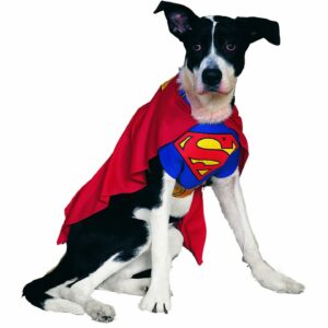 Superman Pet Costume