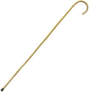 Walking Cane