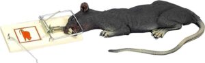 Deluxe Rat In Trap