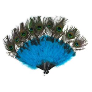 Peacock Tail Fan