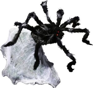Giant Jumping Spider