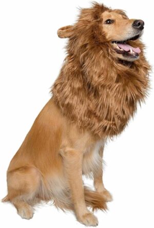 Lion Mane & Ears Pet