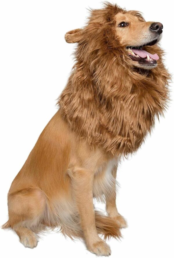 Lion Mane & Ears Pet