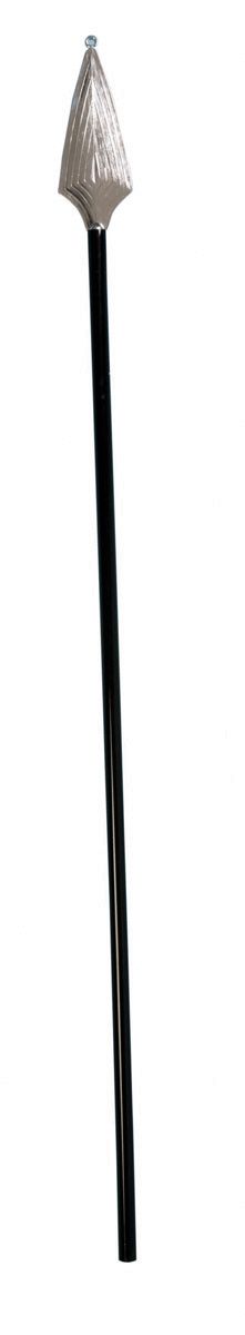 Spartan Spear