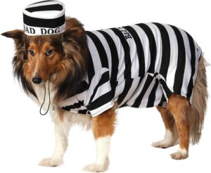 Prisoner Pet Costume