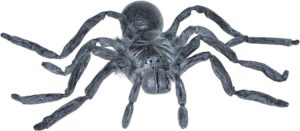 Giant Gray Spider