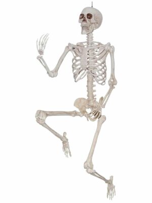 20" Skeleton