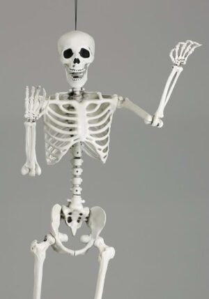 5' Posable Skeleton