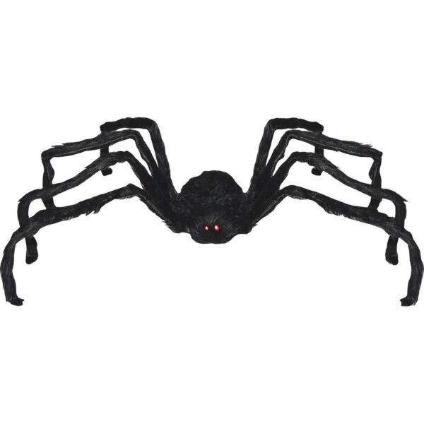 Black Walking Spider