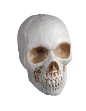 5.5" Skull
