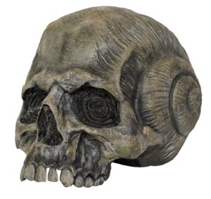 7" Shell Look Skull