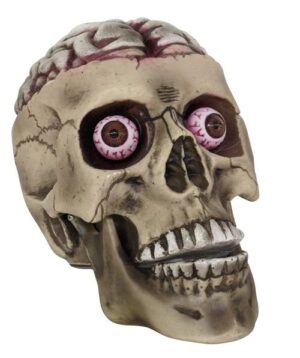 7.5" Skull With Bloody Brain