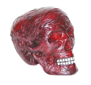 Burnt Skull Prop