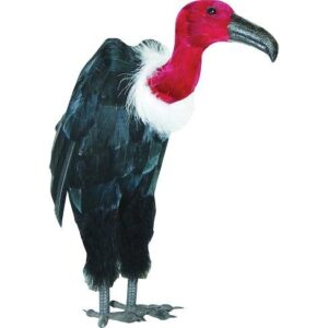 Vulture Prop