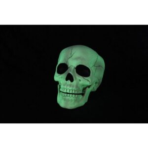 Glow In The Dark Skull 5.5"