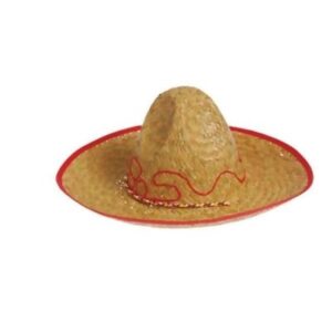 Child Sombrero