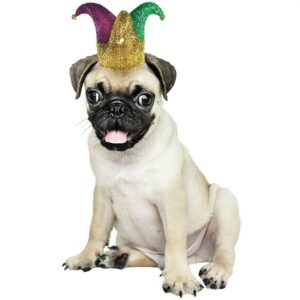 Mardi Gras Jester Pet Hat