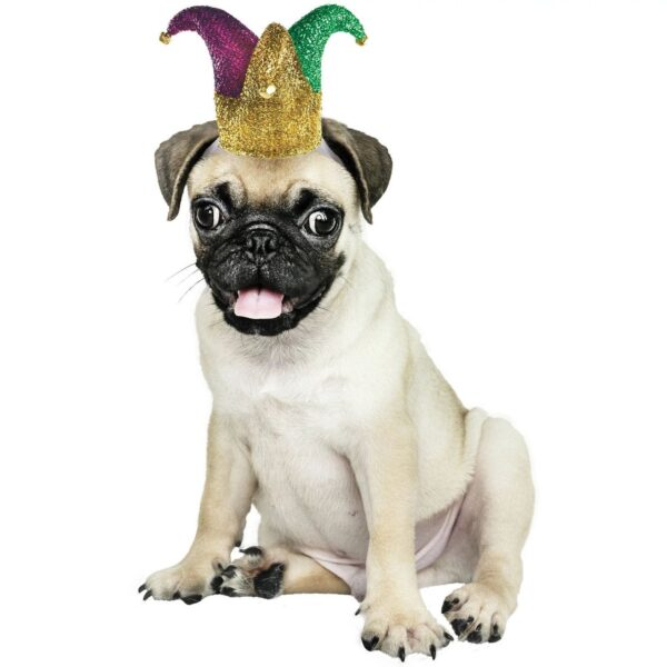 Mardi Gras Jester Pet Hat