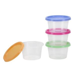 Mini Storage Containers 10CT