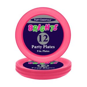 9" Plates 12CT