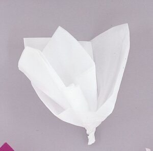 10 White Tissue Sheets