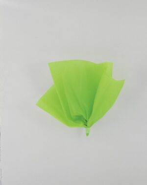 10 Lime Green Tissue Sheets