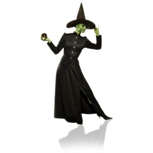 Classic Witch Plus Size Adult Costume