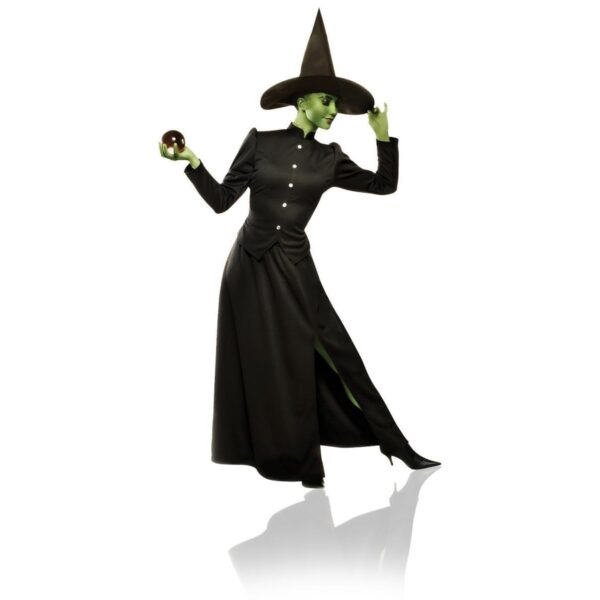Classic Witch Plus Size Adult Costume