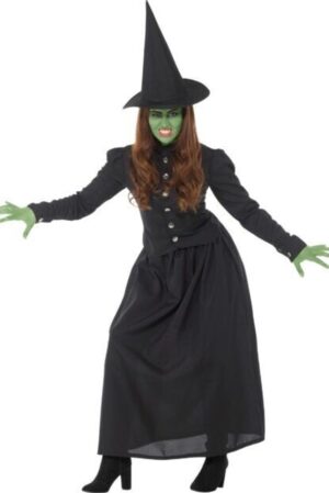 Wicked Witch Adult Costume