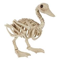 Skeleton Duck 11"