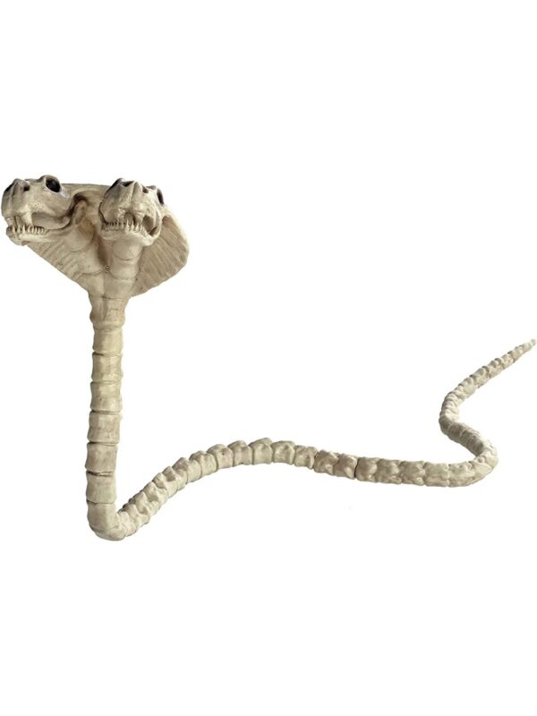 Two Headed Cobra Skeleton 41"