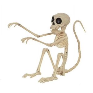 Monkey Skeleton 7.25"