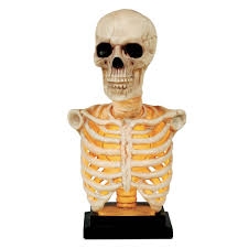 16" Light Up Skeleton Bust With Sound