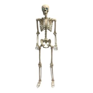 60" Animated Skeleton